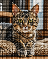 Diamond painting kat 40x50cm