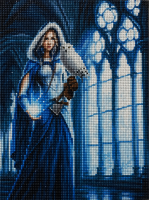 Diamond painting ijs magi&euml;r met uil 40x50cm